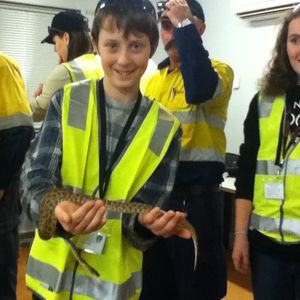 Profile Picture of Finn Kelly (@earth_tiger101) on Myspace