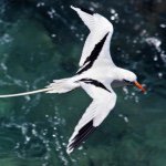 Profile Picture of Michael Aubrey (@eraubreyjewelers) on Instagram