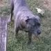 Profile Picture of Sherman Harper (@sherman.harper.7) on Facebook