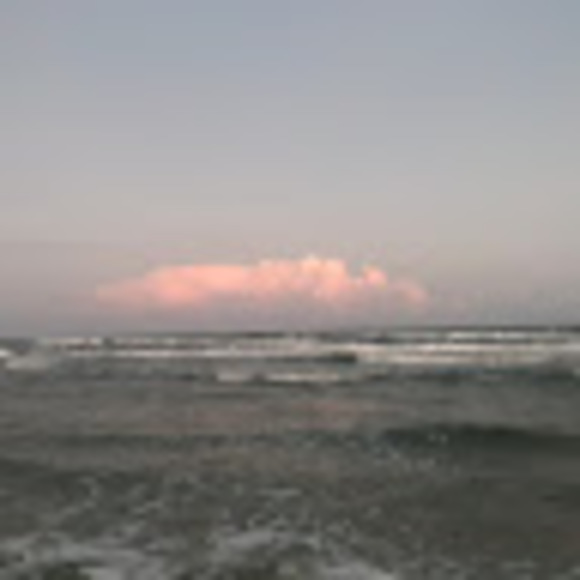 Profile Picture of Corpuschristilover1 !!! (@emmaleighraye20) on Poshmark