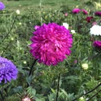 Profile Picture of Daniel Mazurowski (@Daniel-Mazurowski) on Facebook