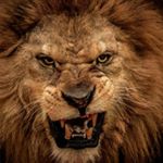 Profile Picture of Scott Neether (@neethers) on Instagram