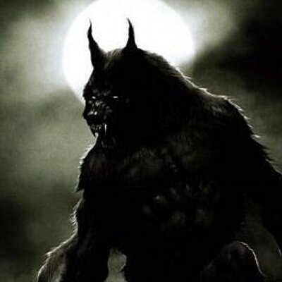 Profile Picture of Mark Stepien (@stepvanwolf) on Twitter