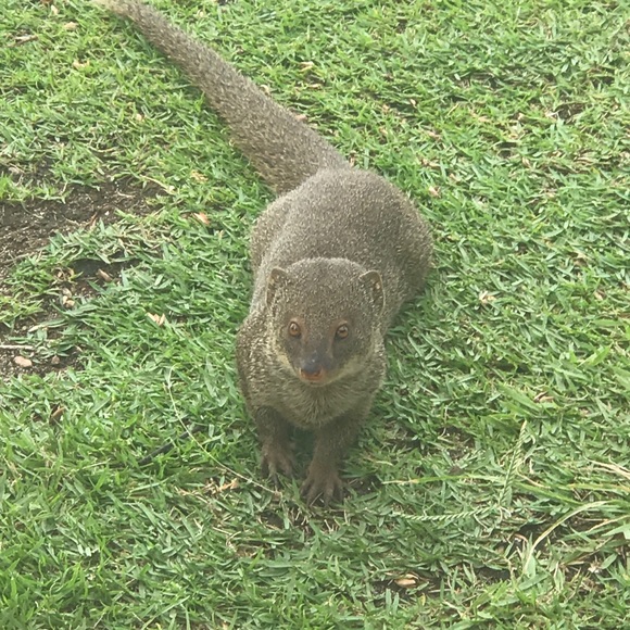 Profile Picture of John Gallagher (@john94517) on Poshmark