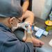 Profile Picture of Allan James Tattoo (@AllanJamesTattoo) on Pinterest