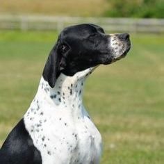 Profile Picture of Andrew Spracklen (@AndrewSprackle1) on Twitter