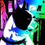 Profile Picture of Tony Hoover (@tony.hoover.35) on Instagram
