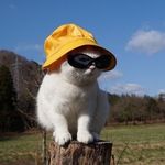 Profile Picture of Bianca Ochoa (@biancaochoas) on Instagram