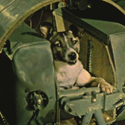 Profile Picture of Anthony Michael (@theurdg) on Twitter