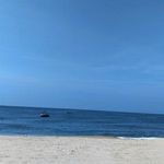 Profile Picture of Frances Zhao (@frances0036) on Instagram