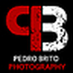 Profile Picture of Ciencias De Computadores Brito (@pedro r. brito) on Flickr