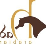 Profile Picture of Jaleen Hacklander (@hadaya_arabians) on Instagram