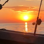 Profile Picture of Tyler Dodge (@Tyler-Dodge) on Facebook