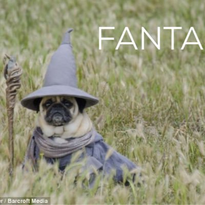 Profile Picture of Brian Hanley (@@hanleybrian) on Twitter
