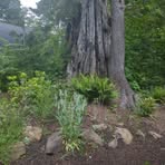 Profile Picture of David B Swenson (@david.b.swenson.5) on Facebook