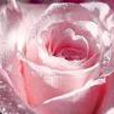 Profile Picture of Julissa Velásquez (@juvesa640) on Twitter