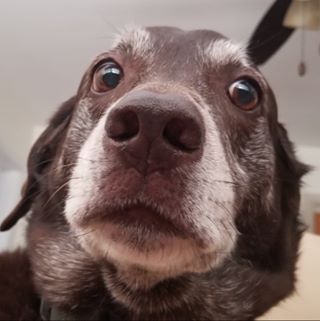 Profile Picture of David Grzybowski (@David-Grzybowski) on Facebook