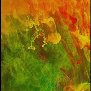 Profile Picture of Adam Wichman (@adam.wichman) on Tiktok