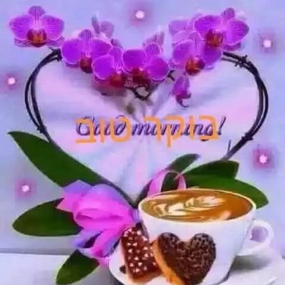 Profile Picture of Rahima Abdullah (@RahimaAbdulla12) on Twitter