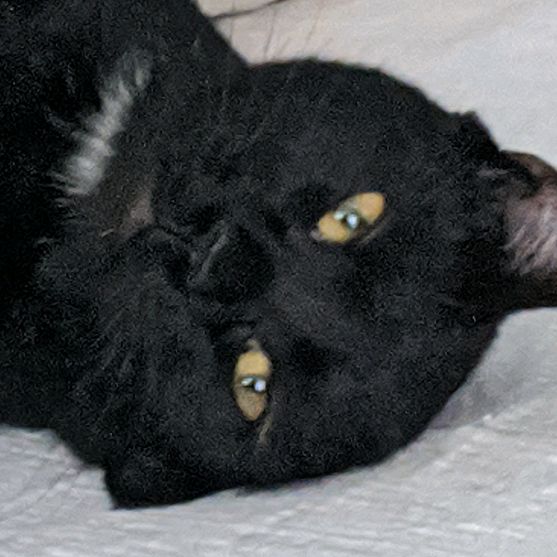 Profile Picture of Daniel Wootton (@danielwootton56) on Tiktok