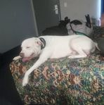 Profile Picture of Clint Bolima (@Clint-Bolima) on Facebook