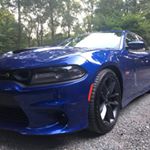 Profile Picture of Jesse Coleman (@blueridgescatpack) on Instagram