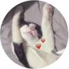 Profile Picture of Anahi Rodriguez (@@batgirlover) on Tiktok