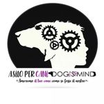 Profile Picture of Ameremo il tuo cane come se fosse il nostro♡ (@asilopercanidogsmind) on Instagram