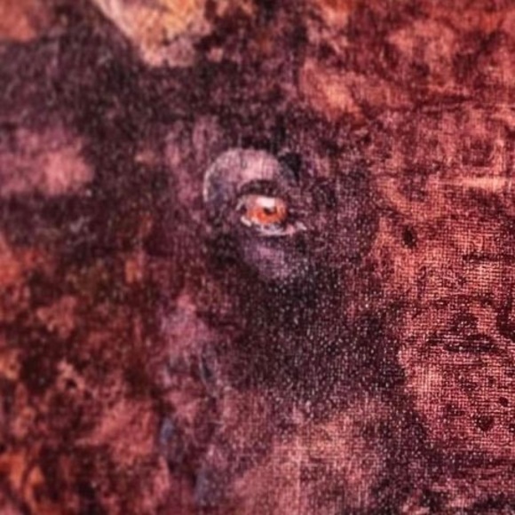 Profile Picture of Pk Lippoldt (@pklip1960) on Poshmark