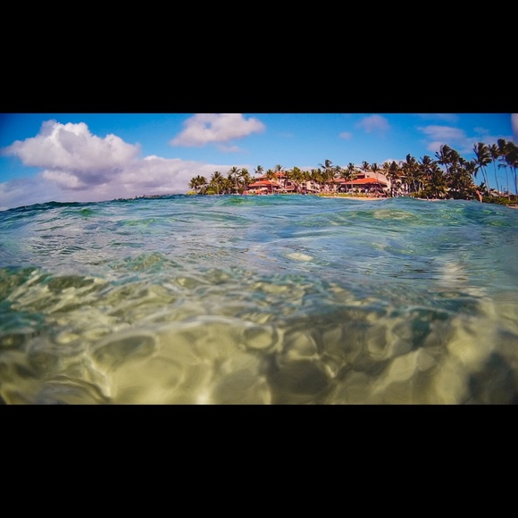 Profile Picture of Danielle Steers (@danielle_steers) on Poshmark