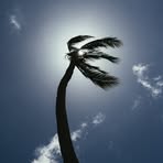 Profile Picture of Mitchell Call (@mitchell.call.1232) on Facebook