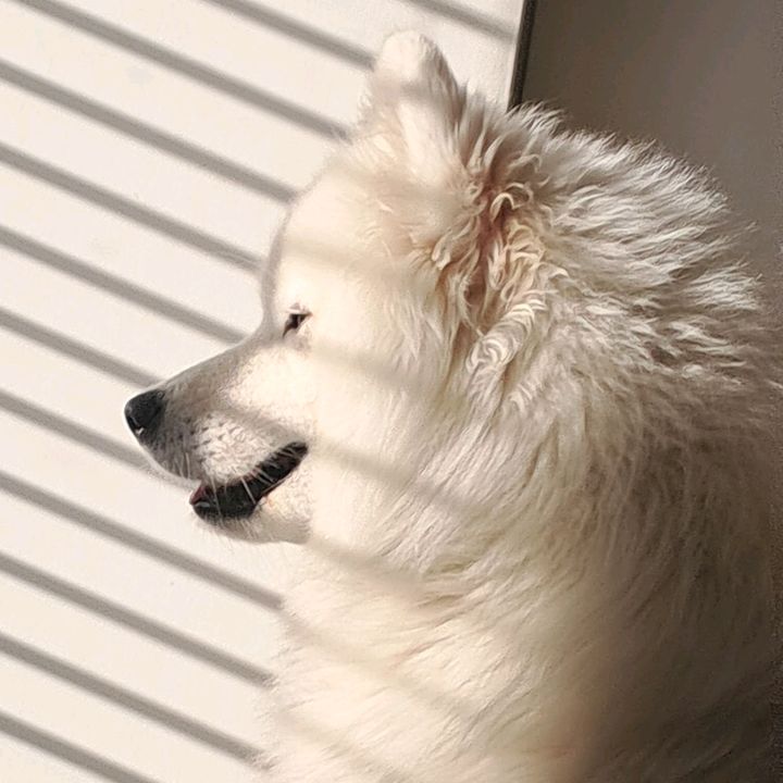 Profile Picture of peter_k (@peter_k1348) on Tiktok