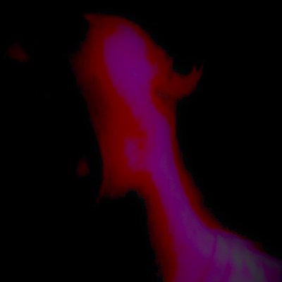 Profile Picture of Higgs Bozonio (@HomburgPhillip) on Twitter