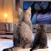 Profile Picture of Steven Encarnacion (@SteveTheMusicalX) on Youtube