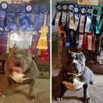 Profile Picture of Eric Beecham (@eric.beecham.9) on Facebook