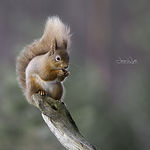 Profile Picture of James Wyatt (@jameswyattphotography) on Flickr