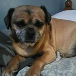 Profile Picture of Nathan Osborn (@nathan_osborn576) on Instagram