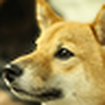 Profile Picture of Steven Ko (@stevenko1201) on Flickr