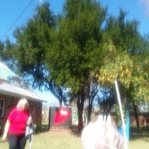 Profile Picture of Bob Bigelow (@BobBigelow6) on Twitter