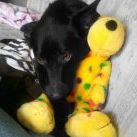 Kara Jacobs - Pinterest Profile Picture of Kara Jacobs (@kjacobs23) on Pinterest