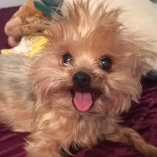 Profile Picture of Gigi Mathis (@mathis.gigi) on Instagram