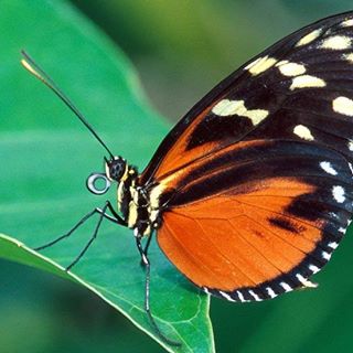 Profile Picture of Lidia Berrocal (@lidia.berrocal.39) on Facebook