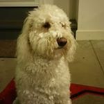 Profile Picture of Brent Bach (@brent.bach.92) on Instagram