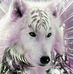 Profile Picture of Jacqueline Michaud (@jacqueline.michaud.737) on Facebook