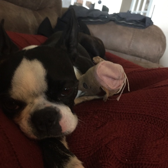 Profile Picture of Leanna Lamkin (@lamkinleanna) on Poshmark