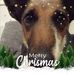 Profile Picture of Lynn Patterson (@lynn.patterson.1865) on Facebook