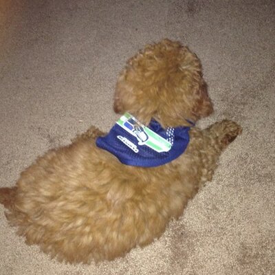 Profile Picture of James Dragoo (@DragooJames) on Twitter