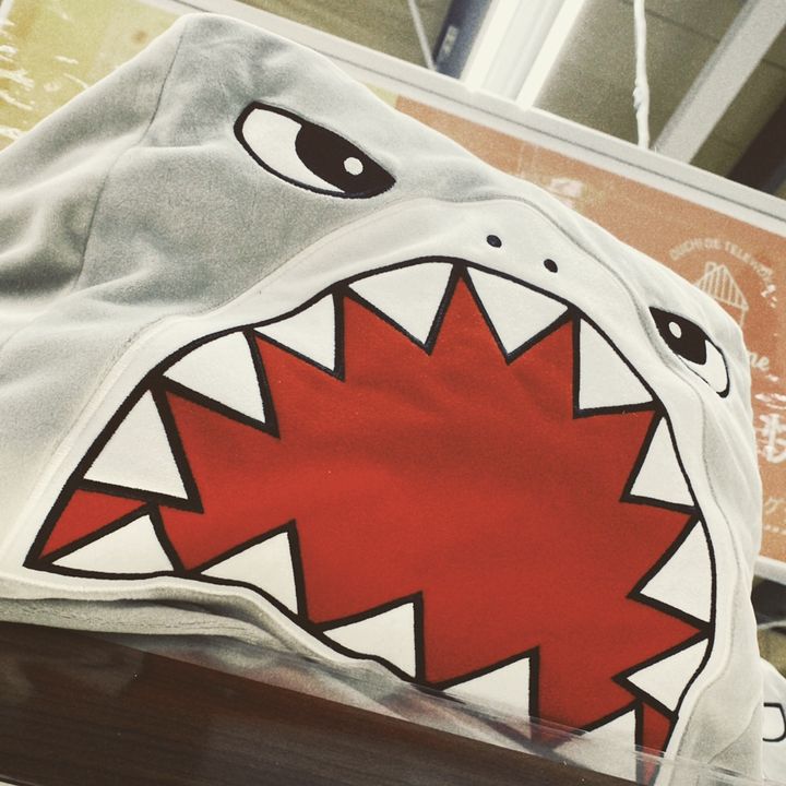 Profile Picture of ALLROUNDER (@toypoodle.com) on Tiktok