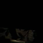 Brian Koman - Facebook Profile Picture of Brian Koman (@Brian-Koman) on Facebook