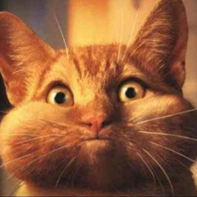 Profile Picture of Carl Cook (@carlcook) on Twitter